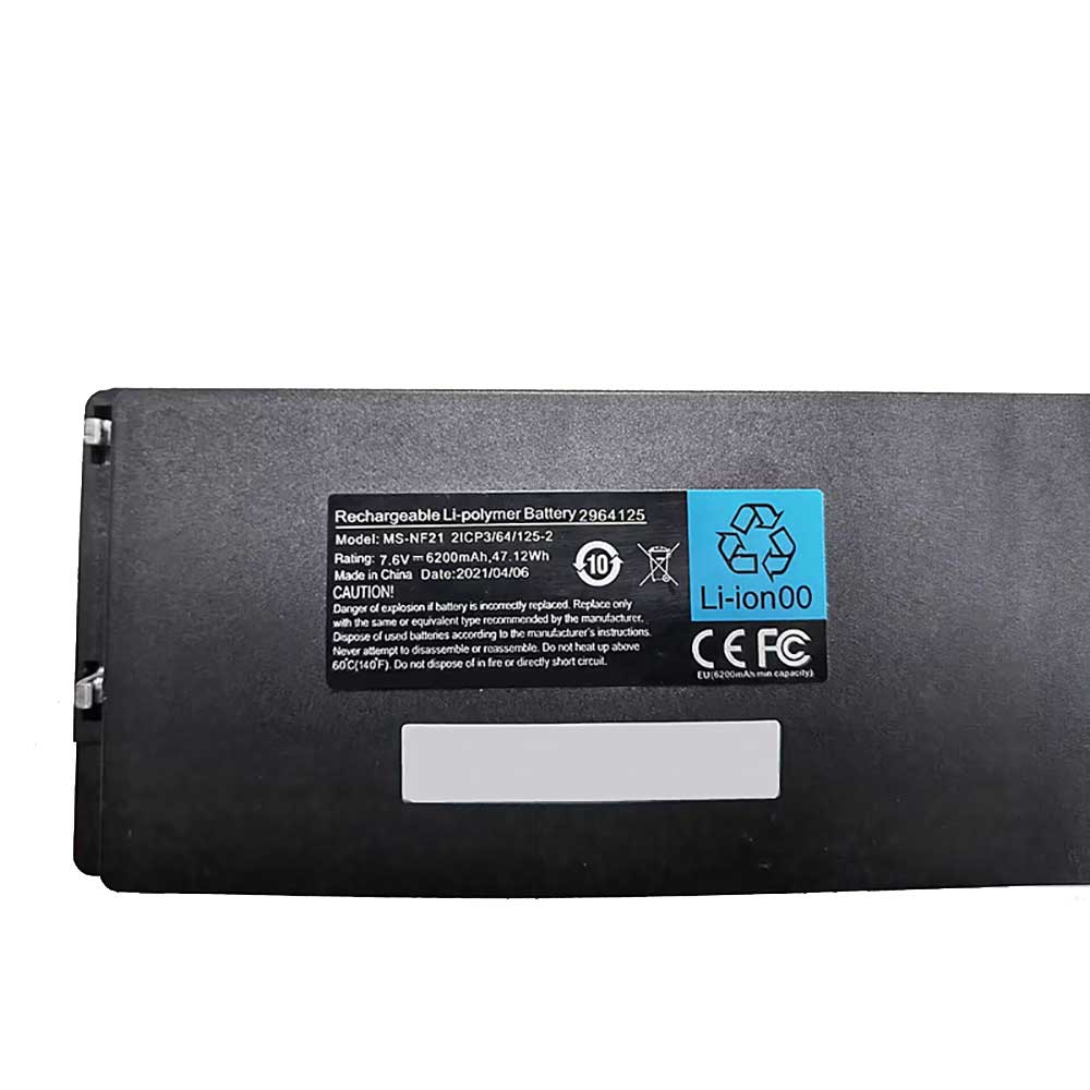 MSI MS-NF21