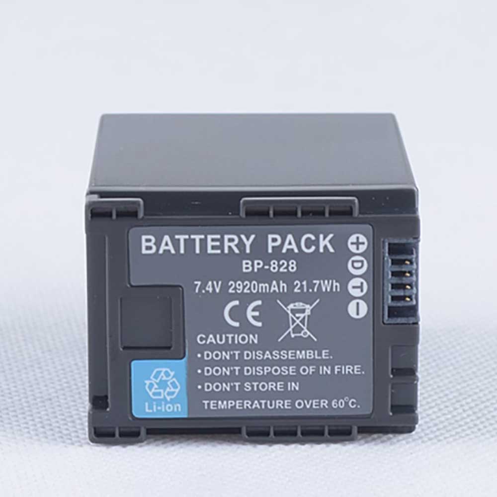 BP-828