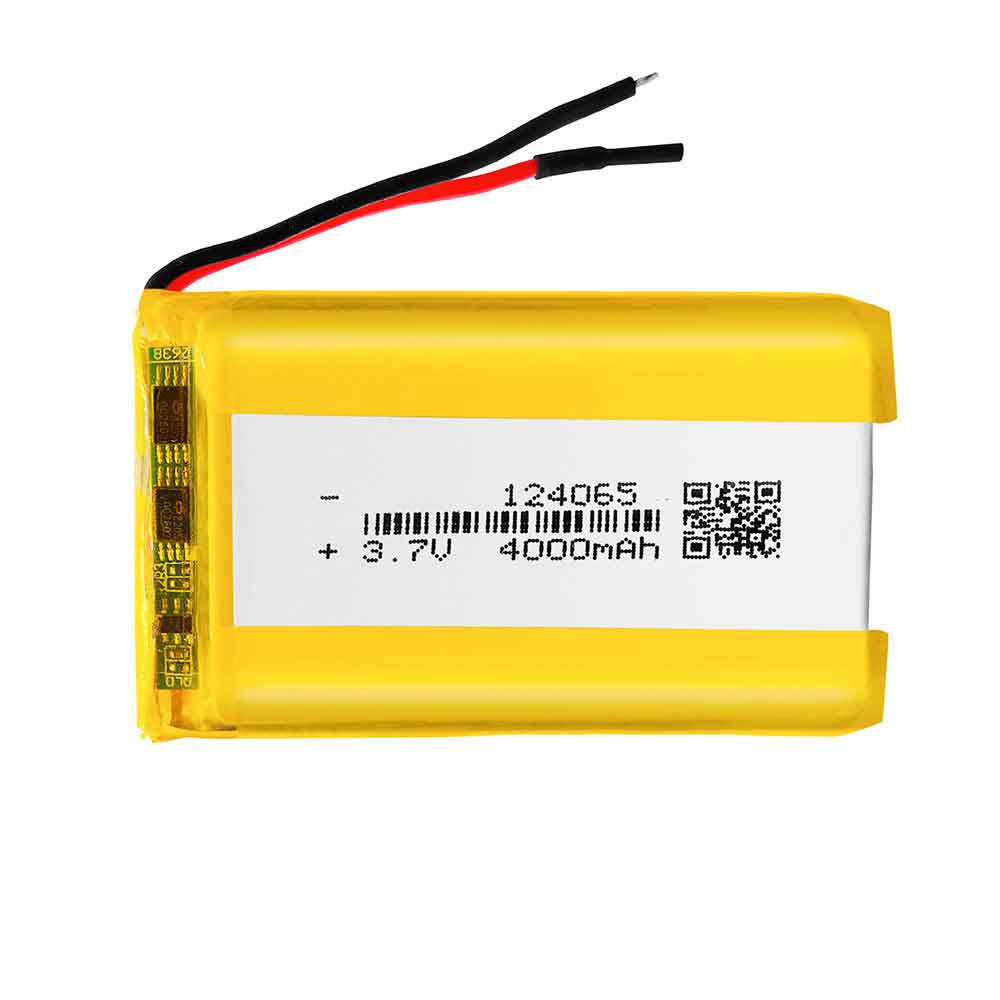 Xinnuan 124065 Speelgoed Accu batterij