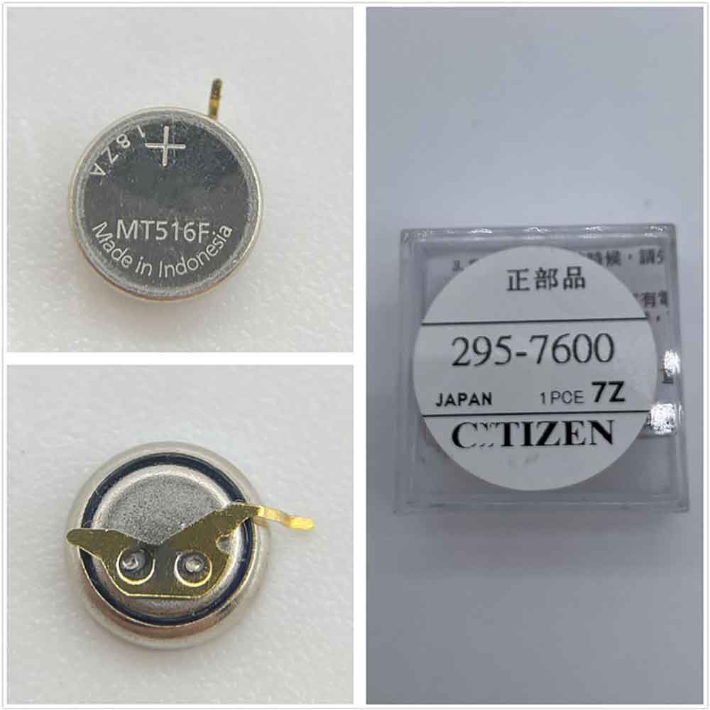Panasonic 295-7600 Smartwatch Accu batterij